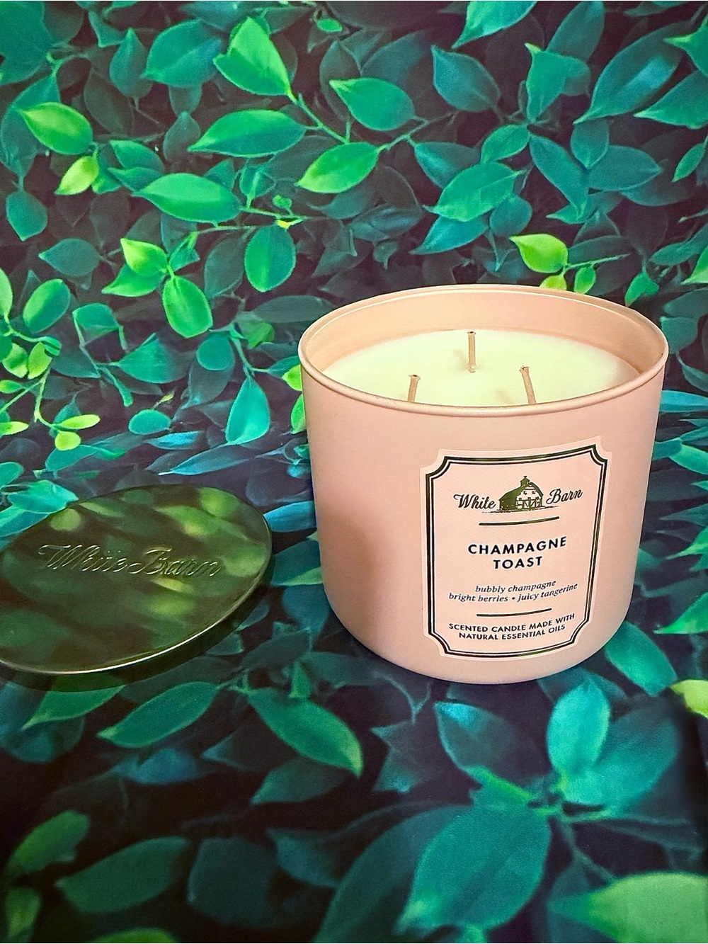 (2 for $40) Champagne Toast 3 Wick Candle 14.5 oz